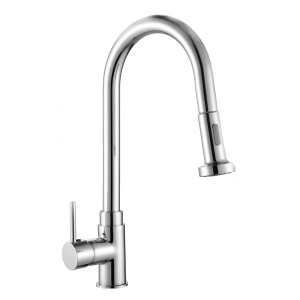 Custom Kitchen Sink Faucets