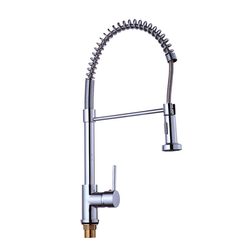 Spring Universal Tube Kitchen Faucet