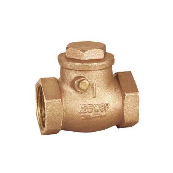 Swing Check Valve