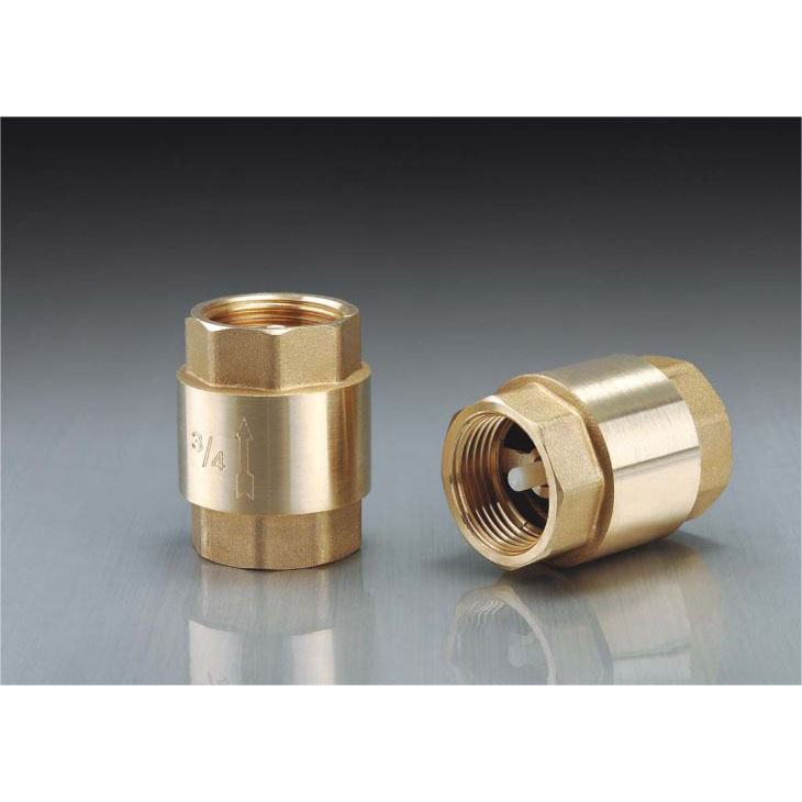 Spring Loaded Check Valve