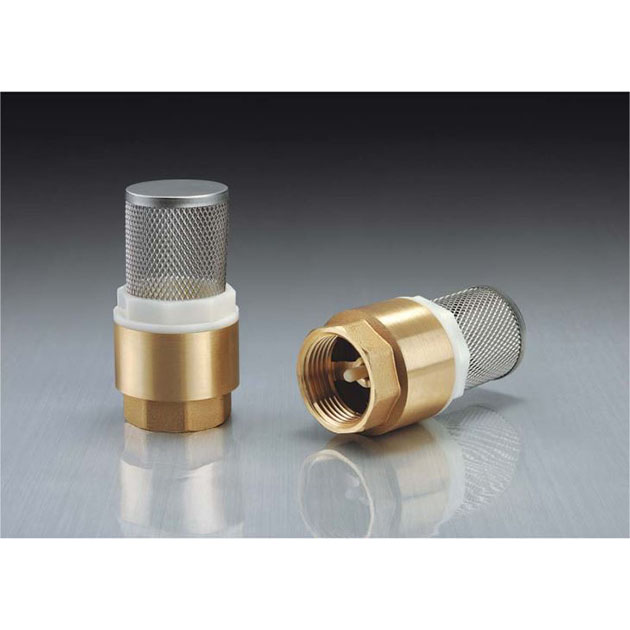 Water Strainer