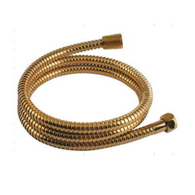 Brass Shower Hose